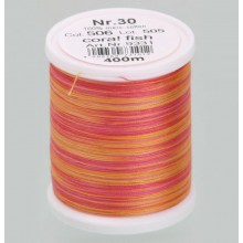 Filato da ricamo Varieg 506