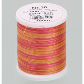 Filato da ricamo Varieg 506