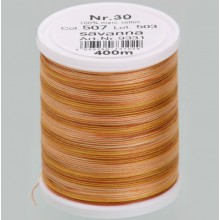 Filato da ricamo Varieg 507