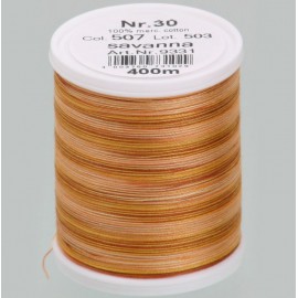 Filato da ricamo Varieg 507