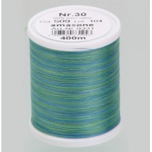 Filato da ricamo Varieg 509