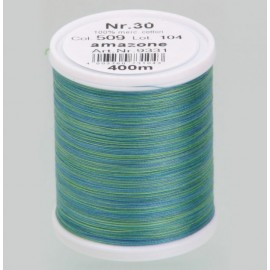 Filato da ricamo Varieg 509