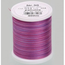 Filato da ricamo Varieg 513