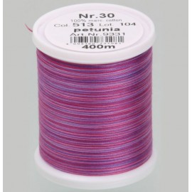 Filato da ricamo Varieg 513